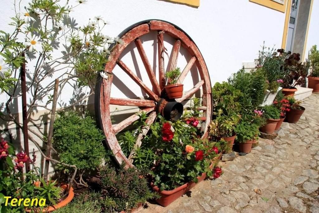 A Casa Do Mestre Lau - No Coracao Do Alentejo Terena Ngoại thất bức ảnh